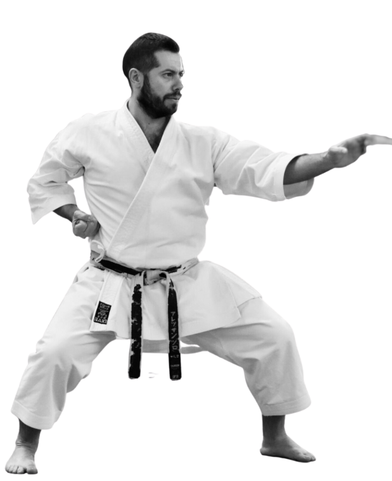 https://www.wakankarate.it/wp-content/uploads/2023/08/sensei-nobg01-768x941.png